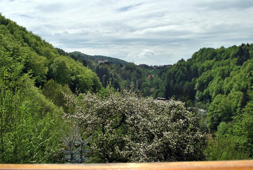 Appartement Fewo Radi An Der Buchberger Leite à Hohenau Extérieur photo