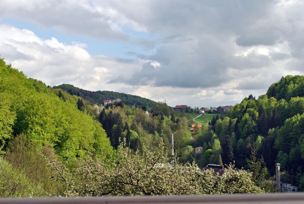 Appartement Fewo Radi An Der Buchberger Leite à Hohenau Extérieur photo